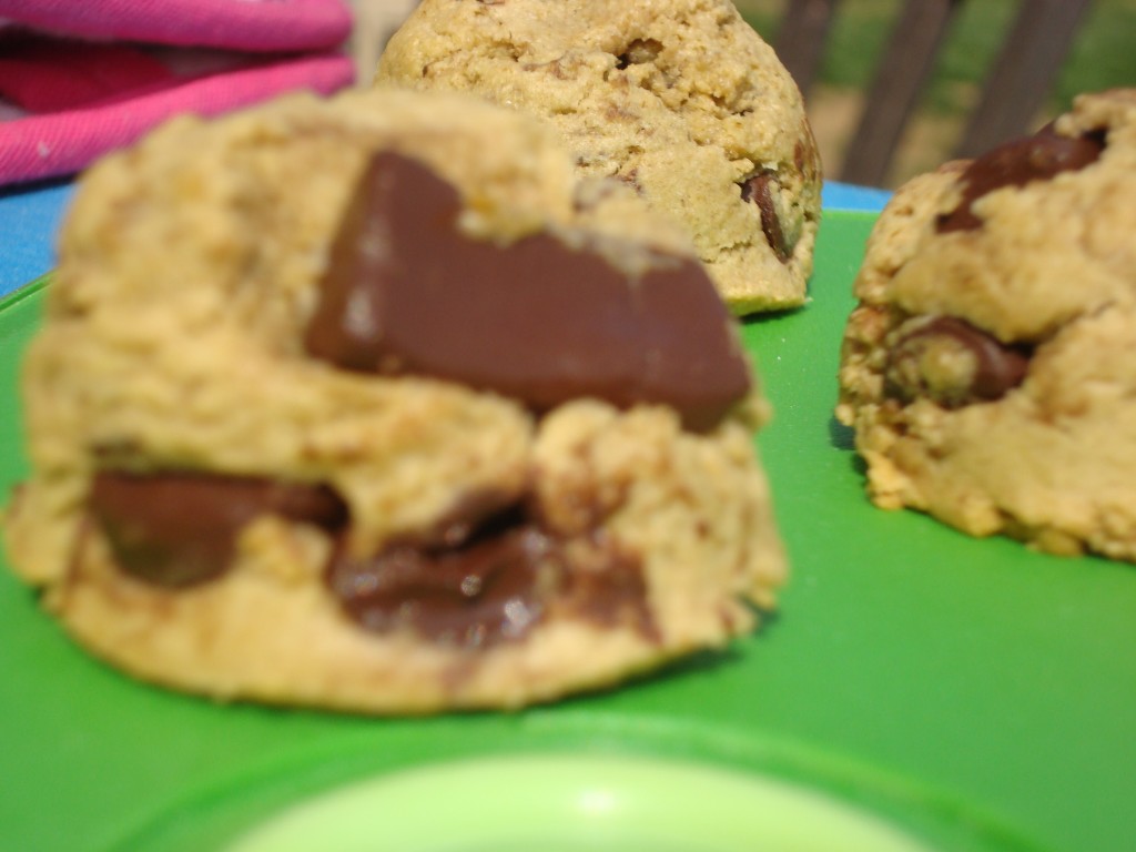 Vegan Chocolate Chip Cookie