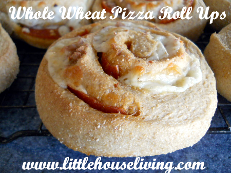 Whole Wheat Pizza Roll Ups