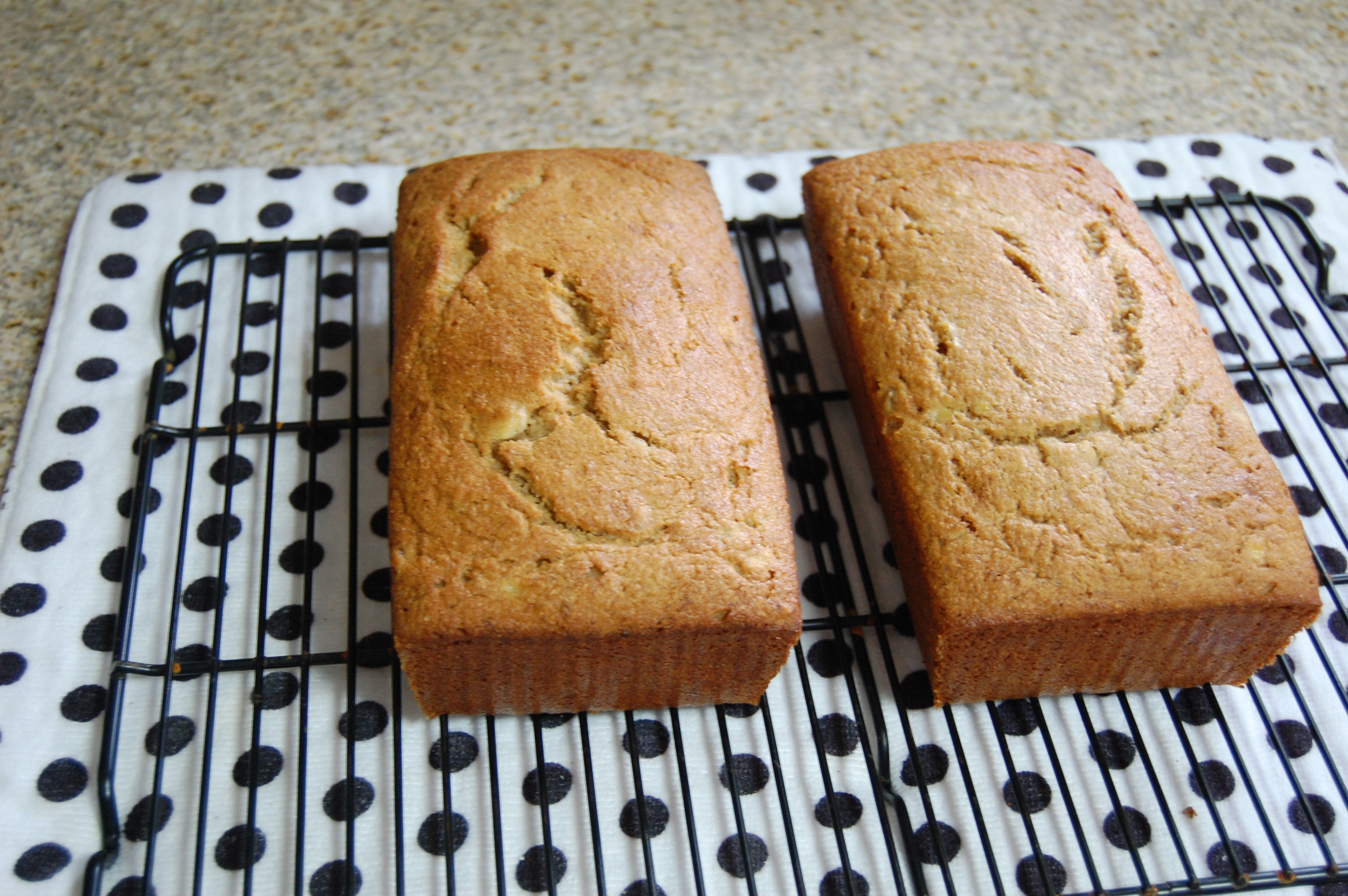 Blue Ribbon Hard White Wheat Banana Bread