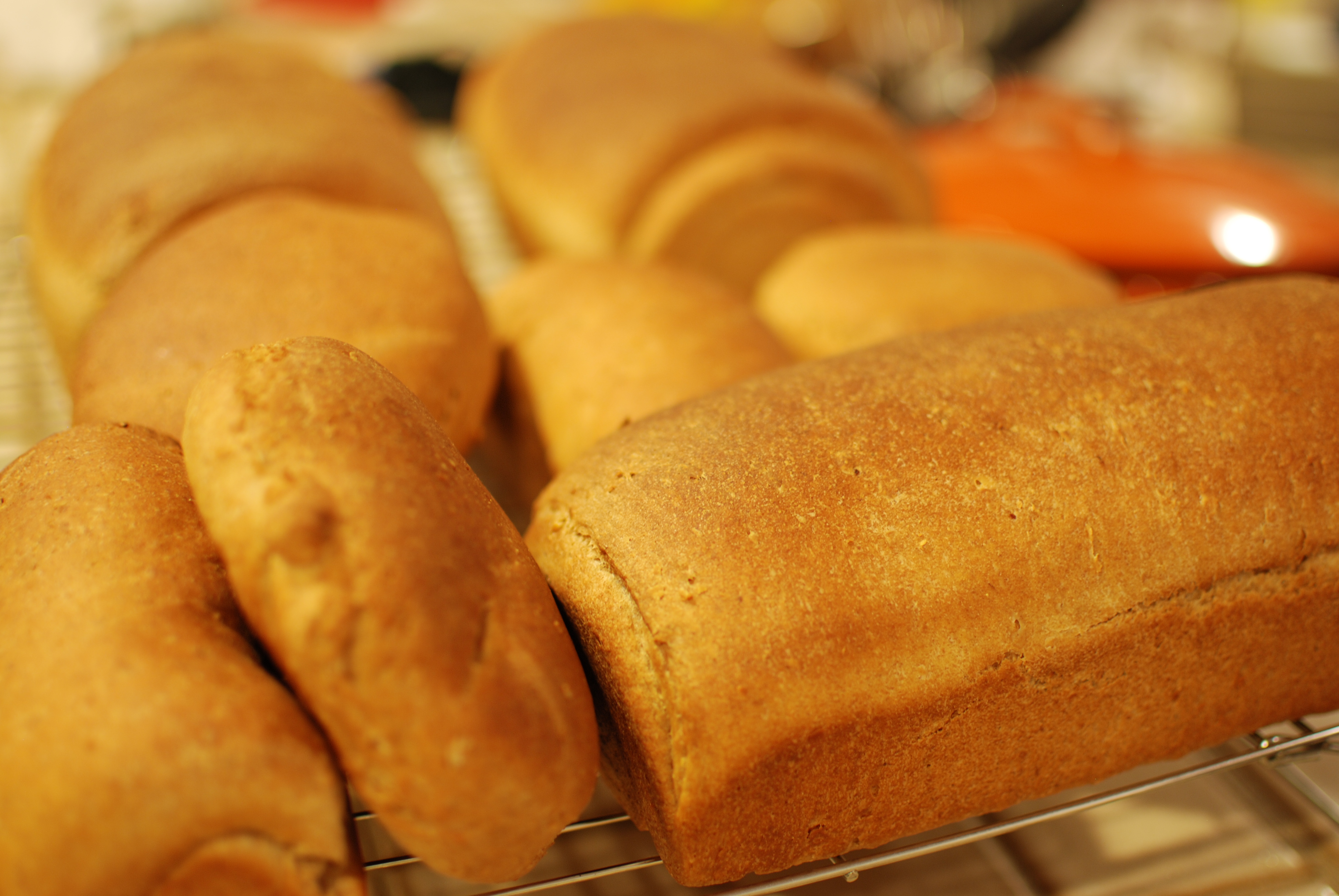 Whole Wheat Bread- 6 Loaves in the Bosch