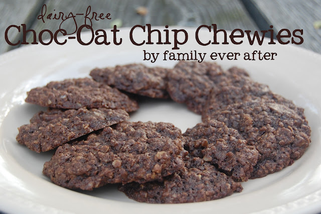 Choc-Oat Chip Chewies