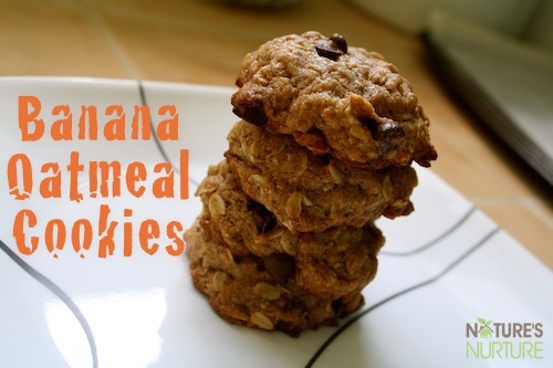 Honey-Sweetened Banana Oatmeal Cookies (Dairy & Egg Free!)