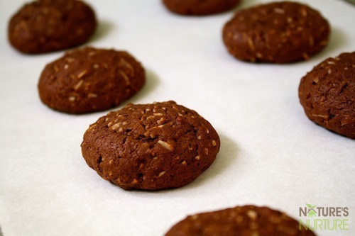 Chocolate-Coconut Cookies with Honey & Coconut Oil