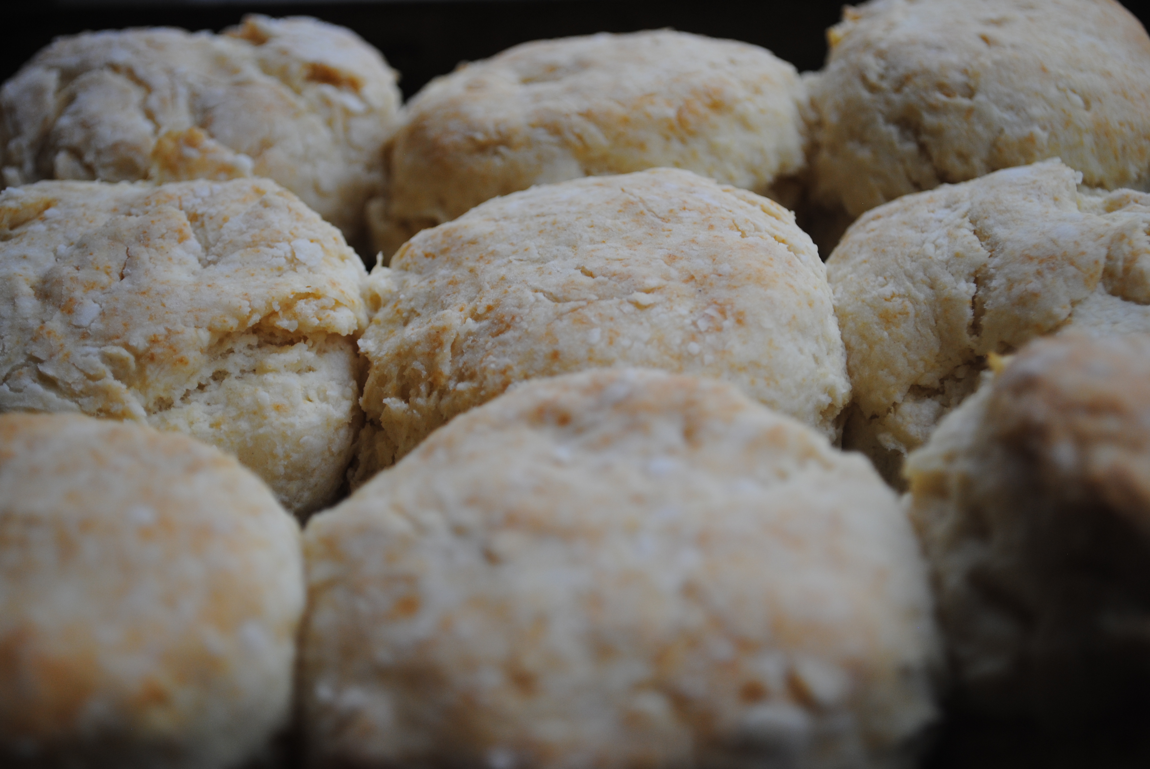Southern Style Whole Wheat Biscuits