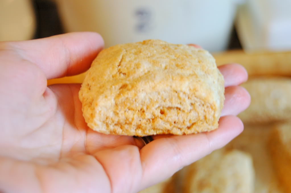 Soaked Whole Wheat Biscuits.