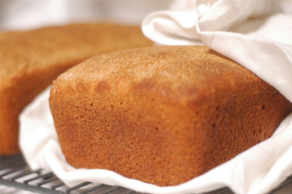 Traditional Soaked Whole Wheat Bread.