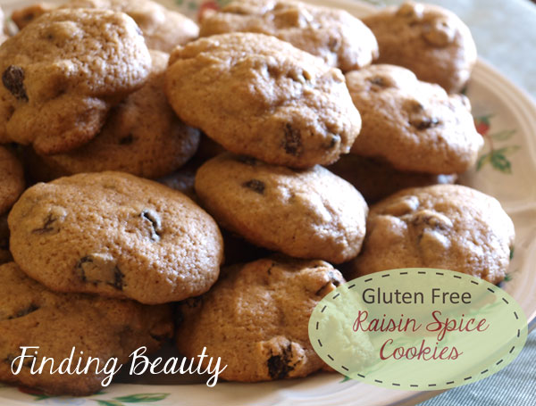 Gluten Free Raisin Spice Cookies