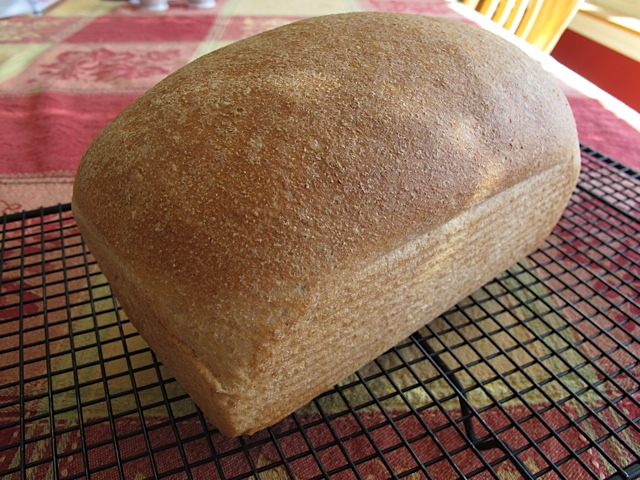 Recipe Box: Whole Wheat Bread