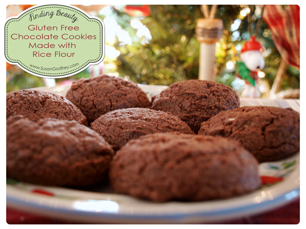 Gluten Free Chocolate Cookies