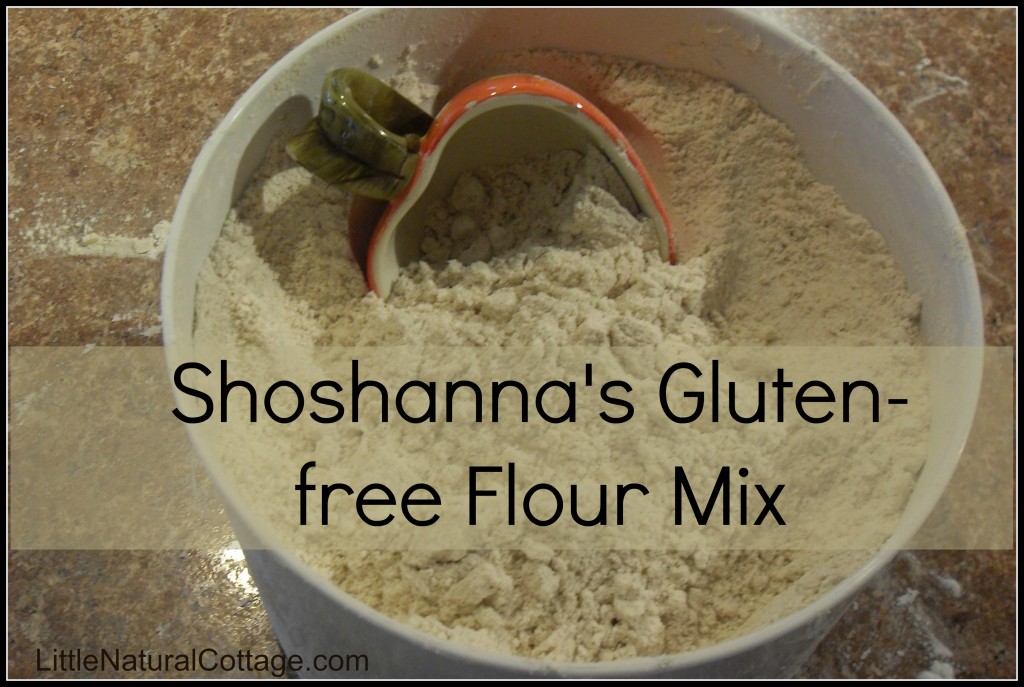 How to Grind Your own Gluten-free Flour
