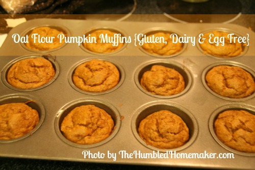 Oat Flour Pumpkin Muffins {Gluten, Dairy and Egg Free!}