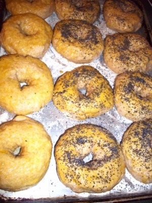 Glaze the bagels with beaten egg and sprinkle with poppy seeds before baking.