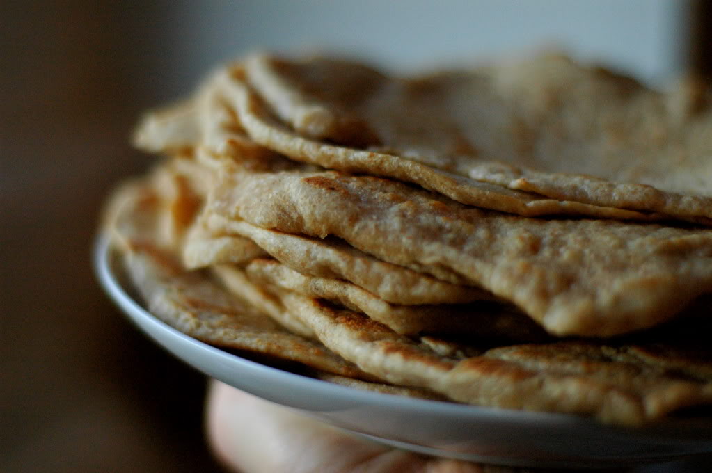 Sourdough Starter & Homemade Tortillas