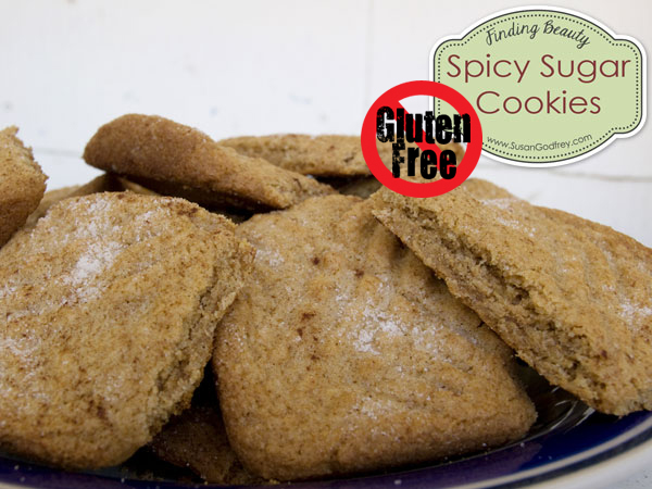 Gluten Free Spicy Sugar Cookies