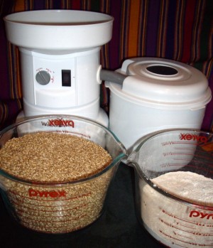 Wondermill Grain Mill and Pizza Twist Bread