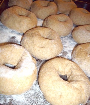 After shaping by hand, bagels are allowed to rise for 15 minutes, covered in a towel.