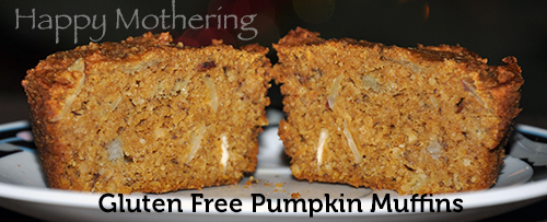 Gluten Free Vegan Pumpkin Muffins