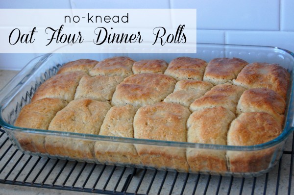 no-knead oat flour dinner rolls