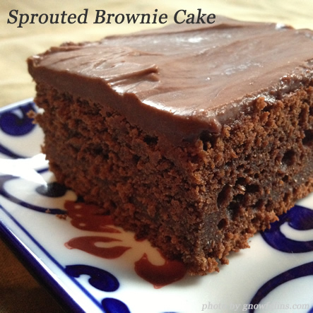 Sprouted Chocolate Brownie Cake (or Soaked)