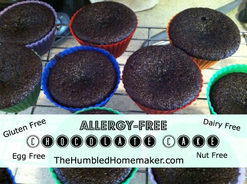 Allergy-Free Chocolate Cake That Tastes Like the Real Thing! {Gluten, Dairy & Egg-Free!}