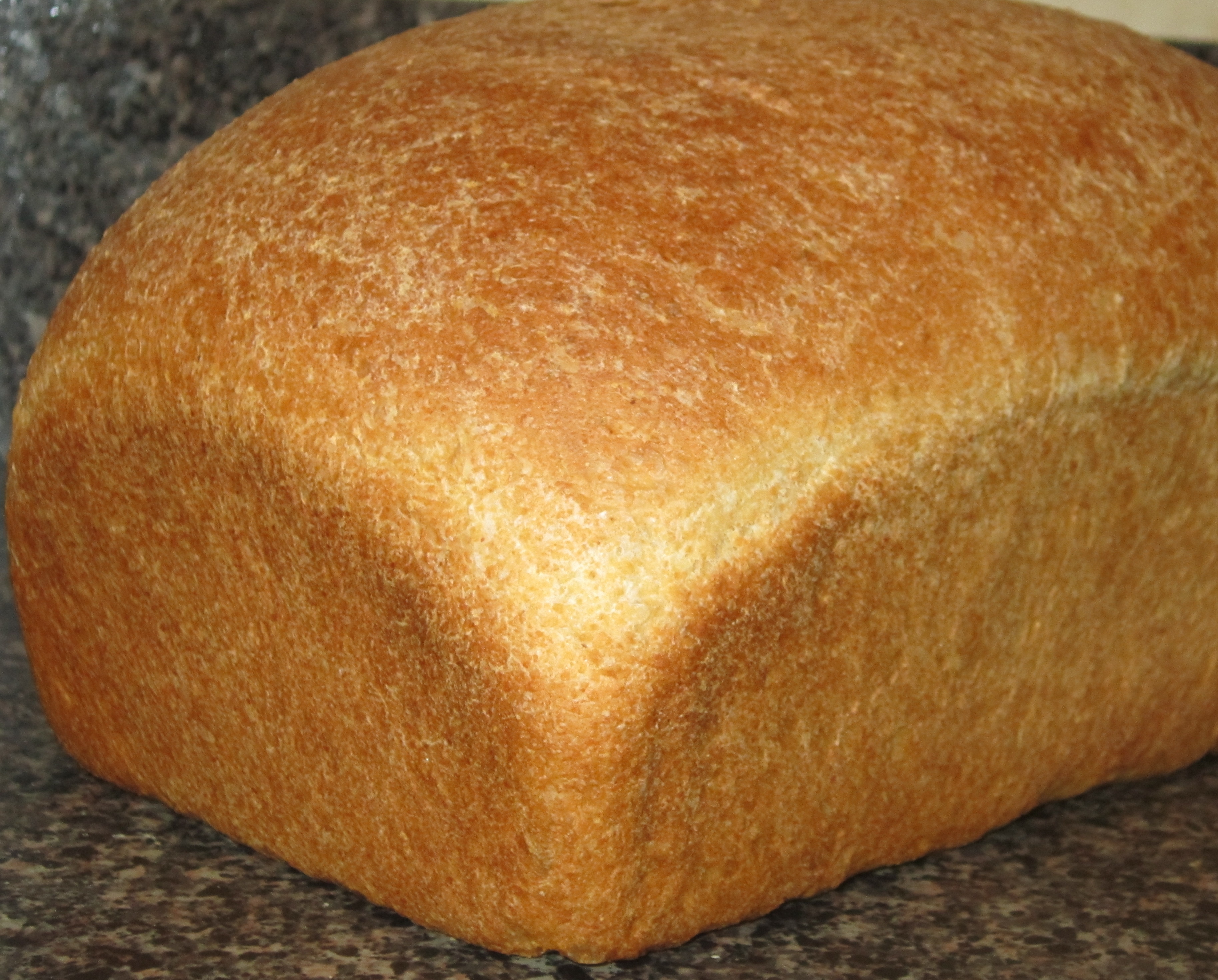 Whole Wheat Bread