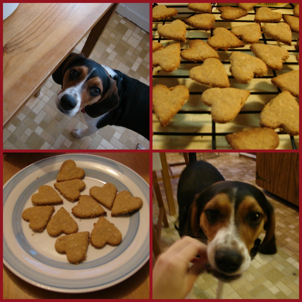 Super Easy Dog Biscuits