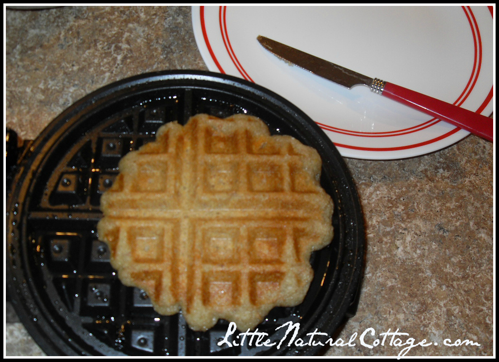 Whole Grain Belgian Waffles