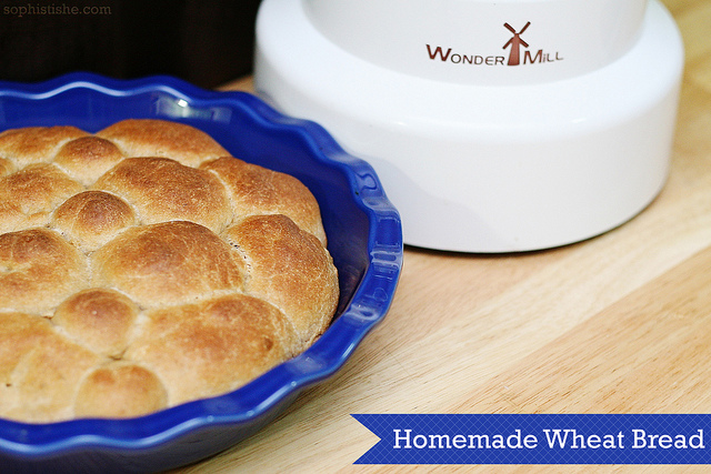 Homemade Wheat Rolls