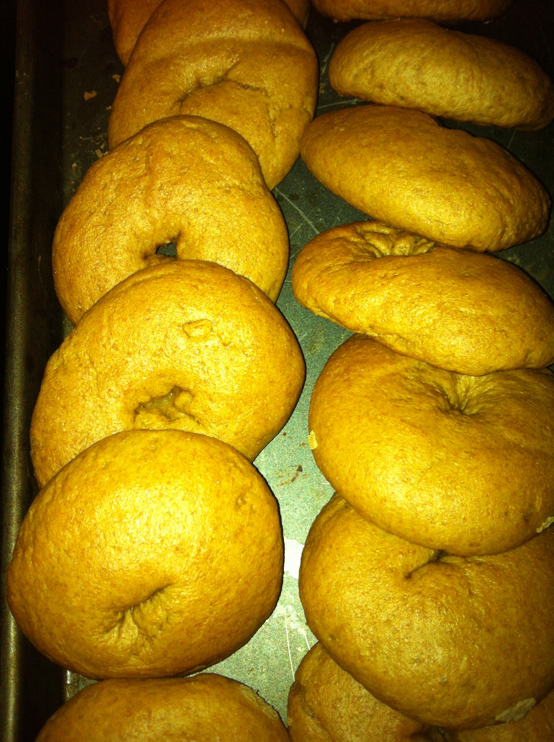 Whole Wheat Bagels- Amazing!!