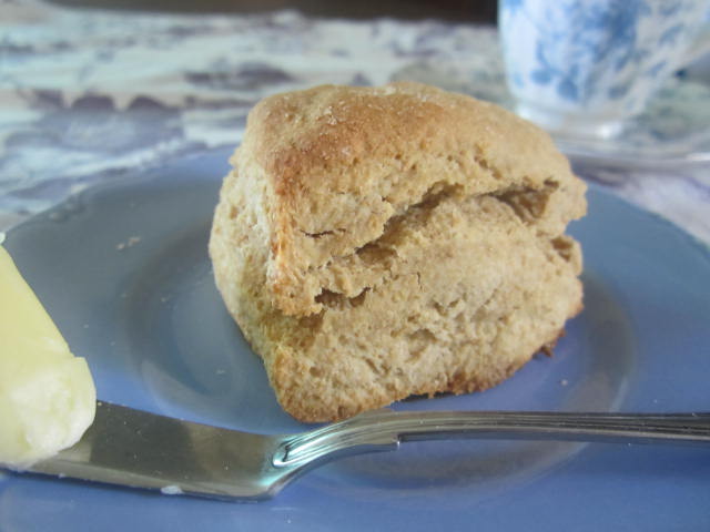 Basic Soaked Scones