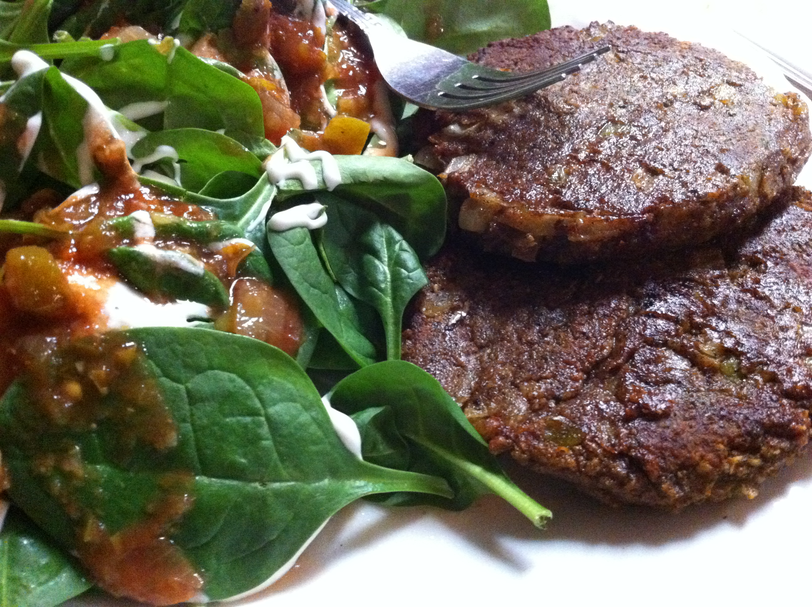 Black Bean Burgers {using freshly ground black bean flour!}