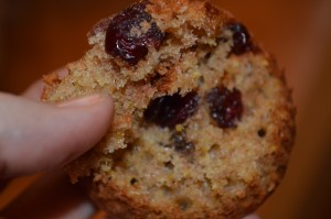 Cranberry Orange Muffins10