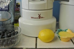 White Rice Blueberry Muffins Recipe 002