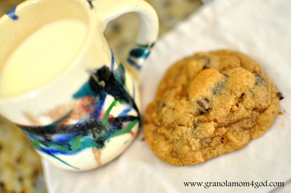 raw milk and sprouted wheat chocolate chip cookies
