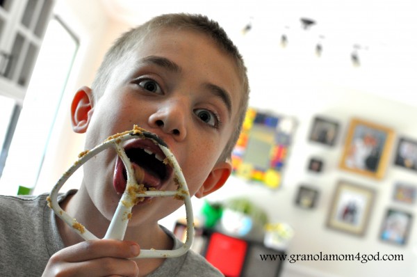 sprouted chocolate chip cookies for kids