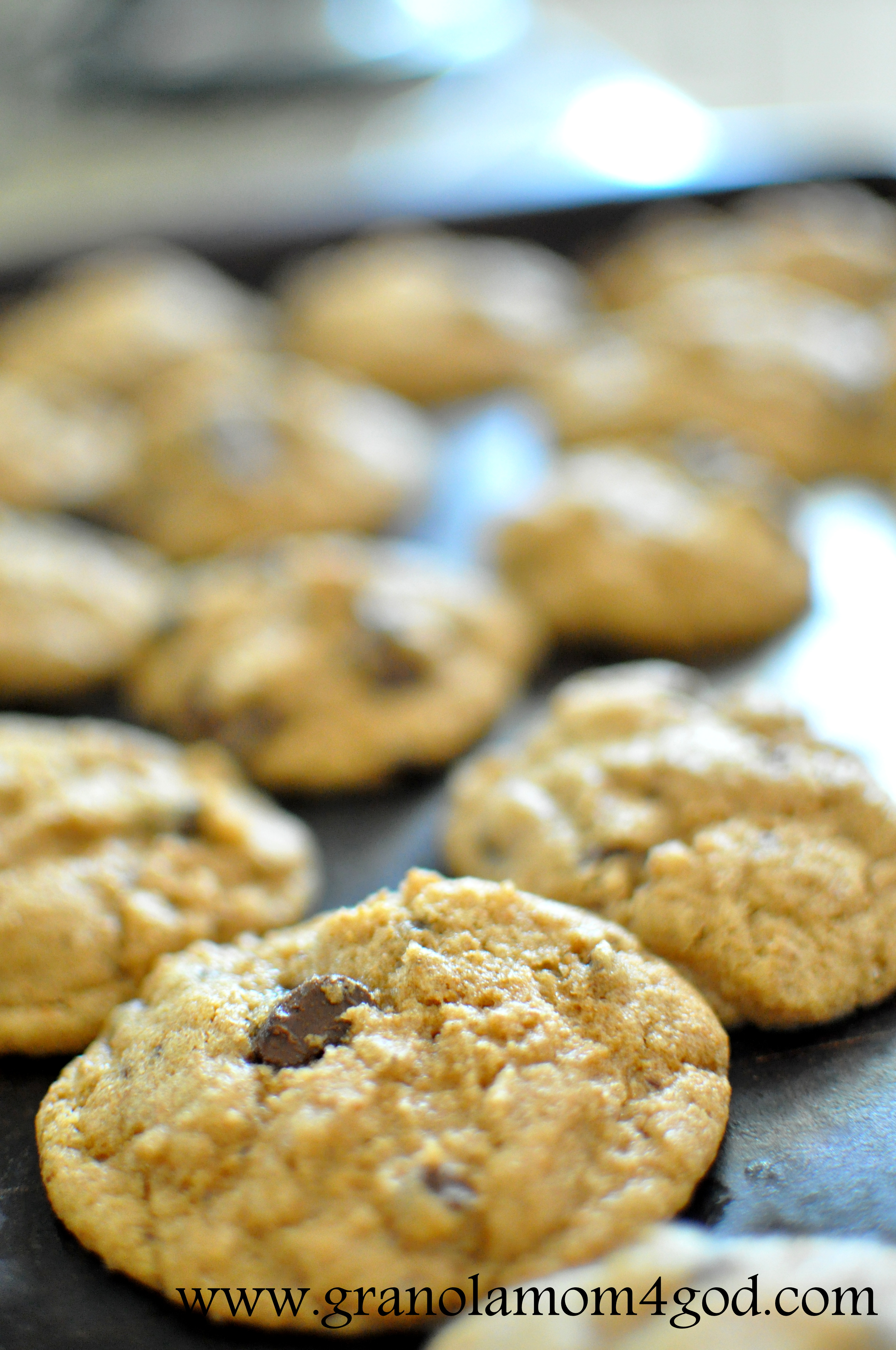 A Sprouted Chocolate Chip Cookie