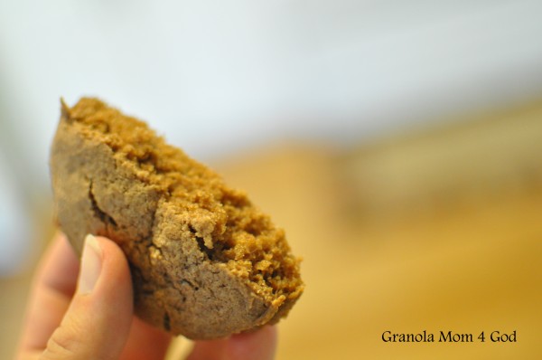 cinnamon biscuits