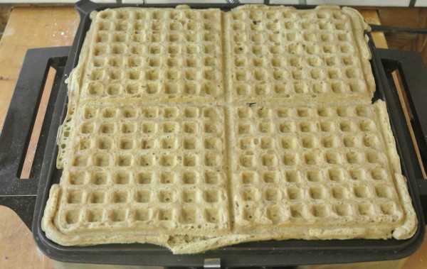 Oat Waffles Recipe - Nosh My Way