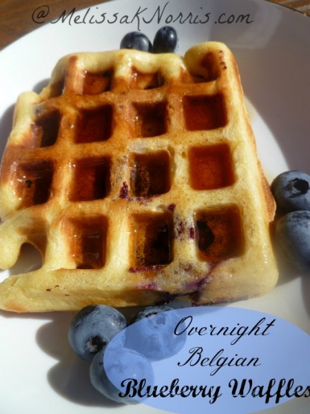 Overnight Belgian Blueberry Waffles