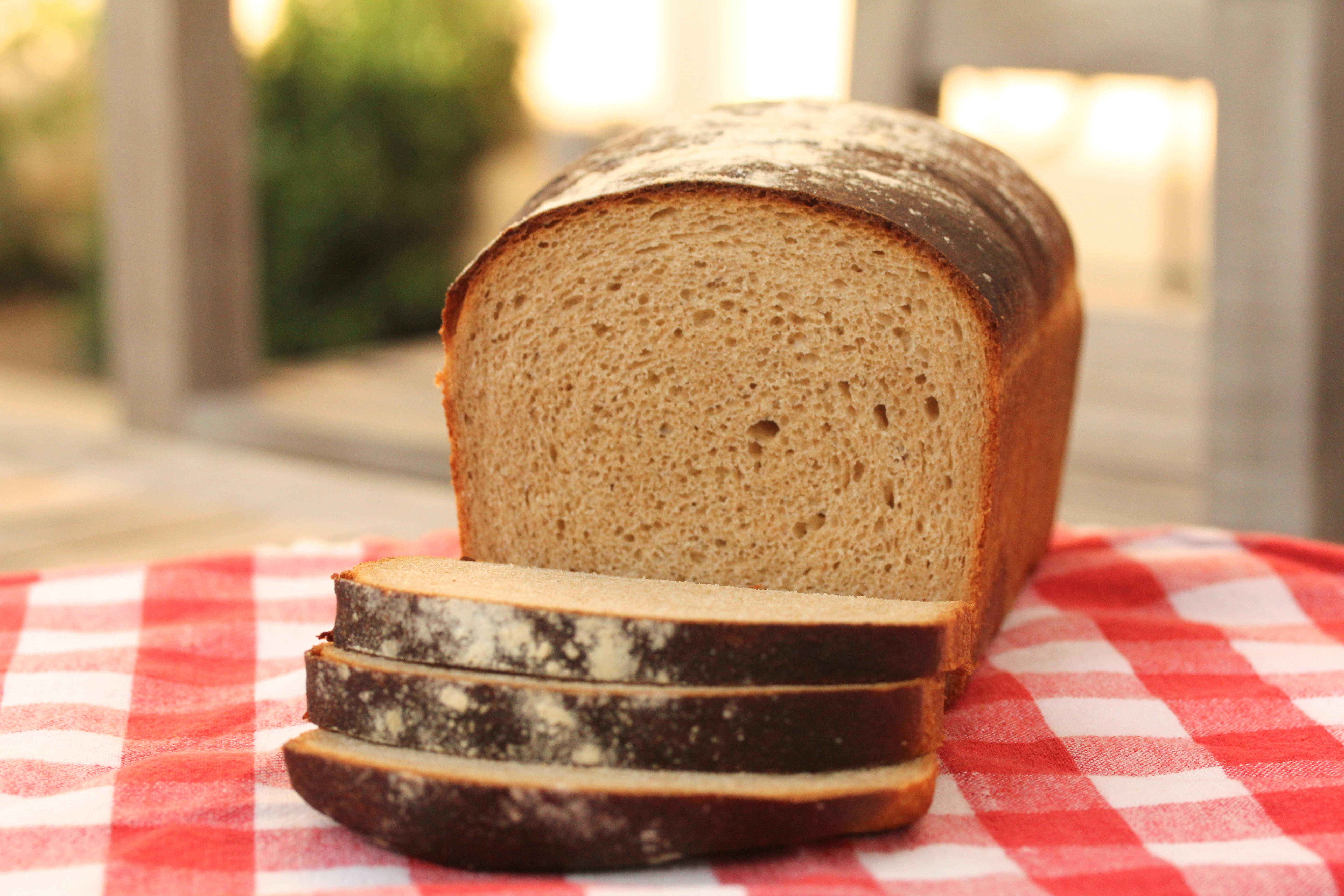 Transitional Whole Wheat Sandwich Bread
