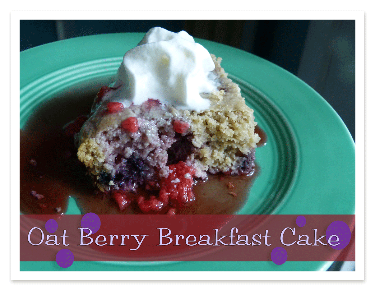 Berry Oat Breakfast Cake