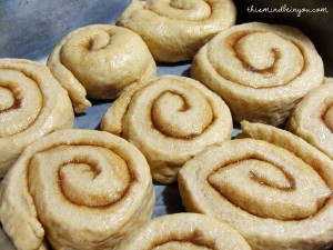 Whole Wheat Cinnamon Rolls by Kristi Stone