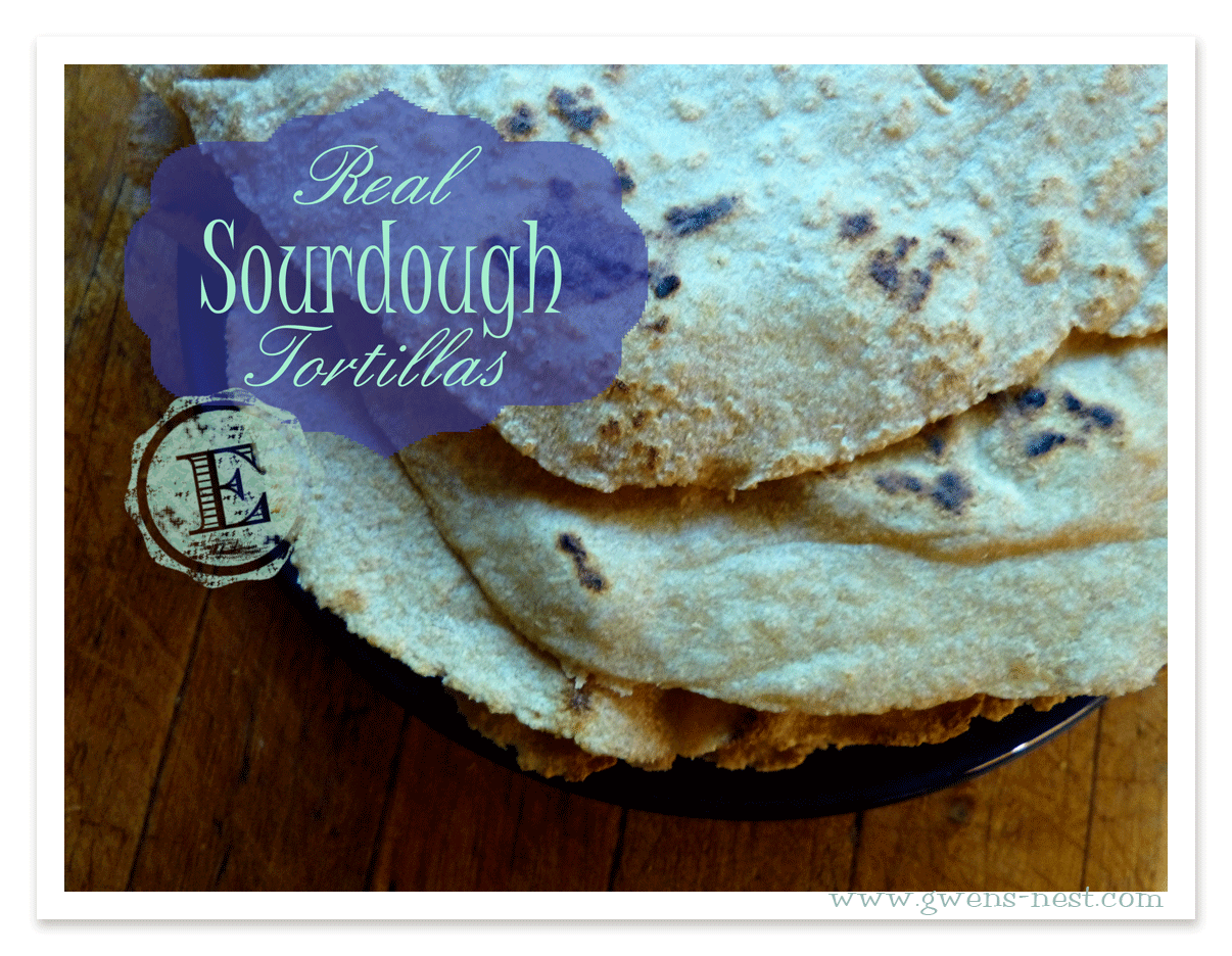 Sourdough Whole Wheat Tortilla Recipe