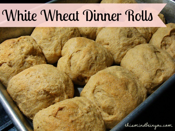 White Wheat Dinner Rolls by Let This Mind Be in You