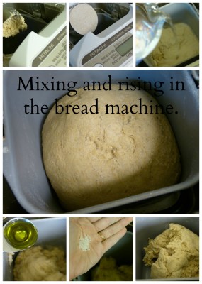 Sourdough mix collage