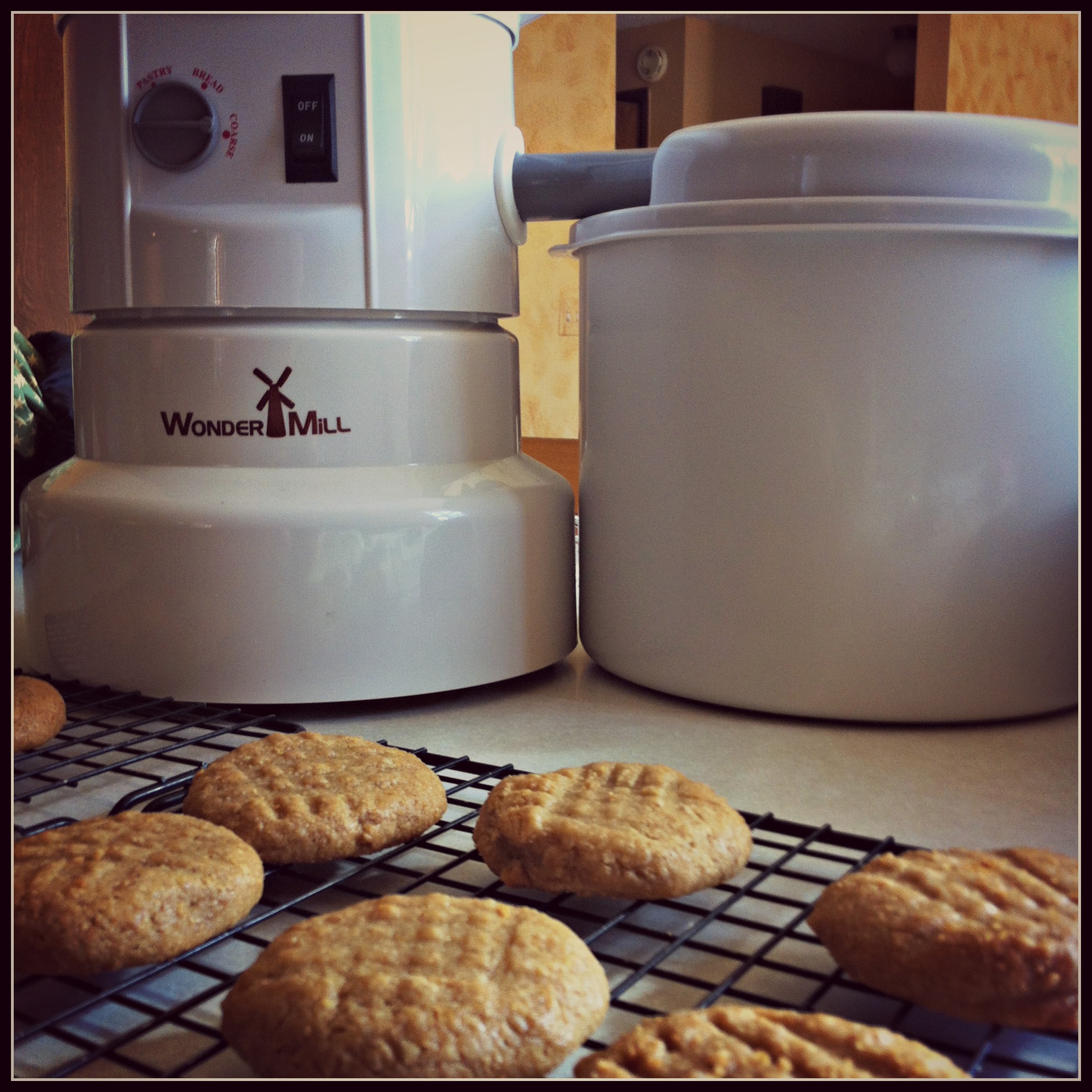 Honey Peanut Butter Cookies