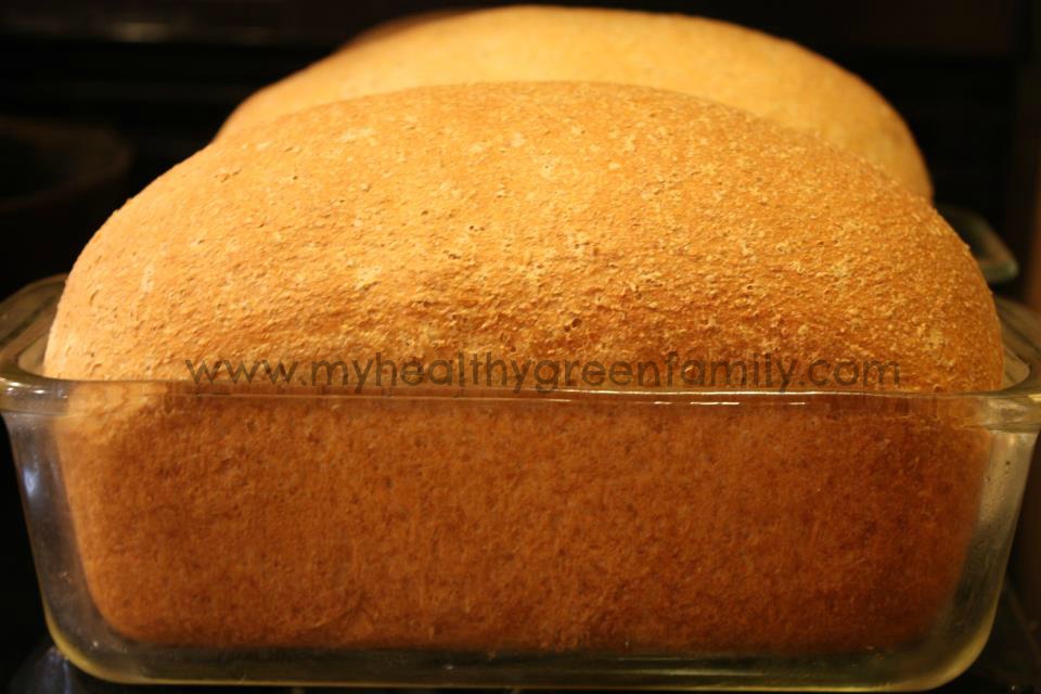 100% Whole Wheat Honey Bread. Simply, The Best!