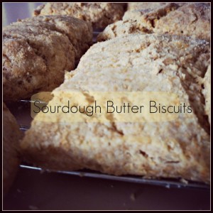 sourdoughbutterbiscuits