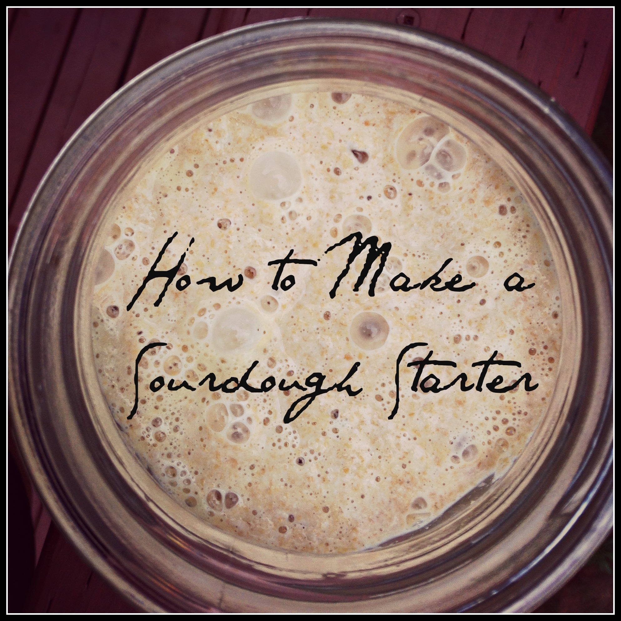 How to Make a Whole Wheat Sourdough Starter