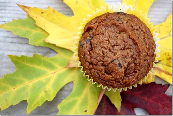 Light and fluffy, spelt pumpkin muffins